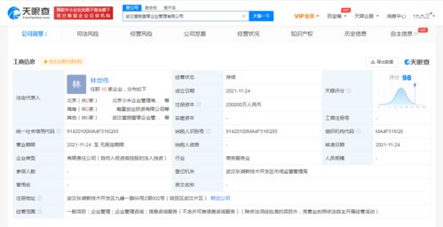 注册资本20亿元！小米在武汉成立企业管理公司，赤壁企业网站建设迎来新启示
